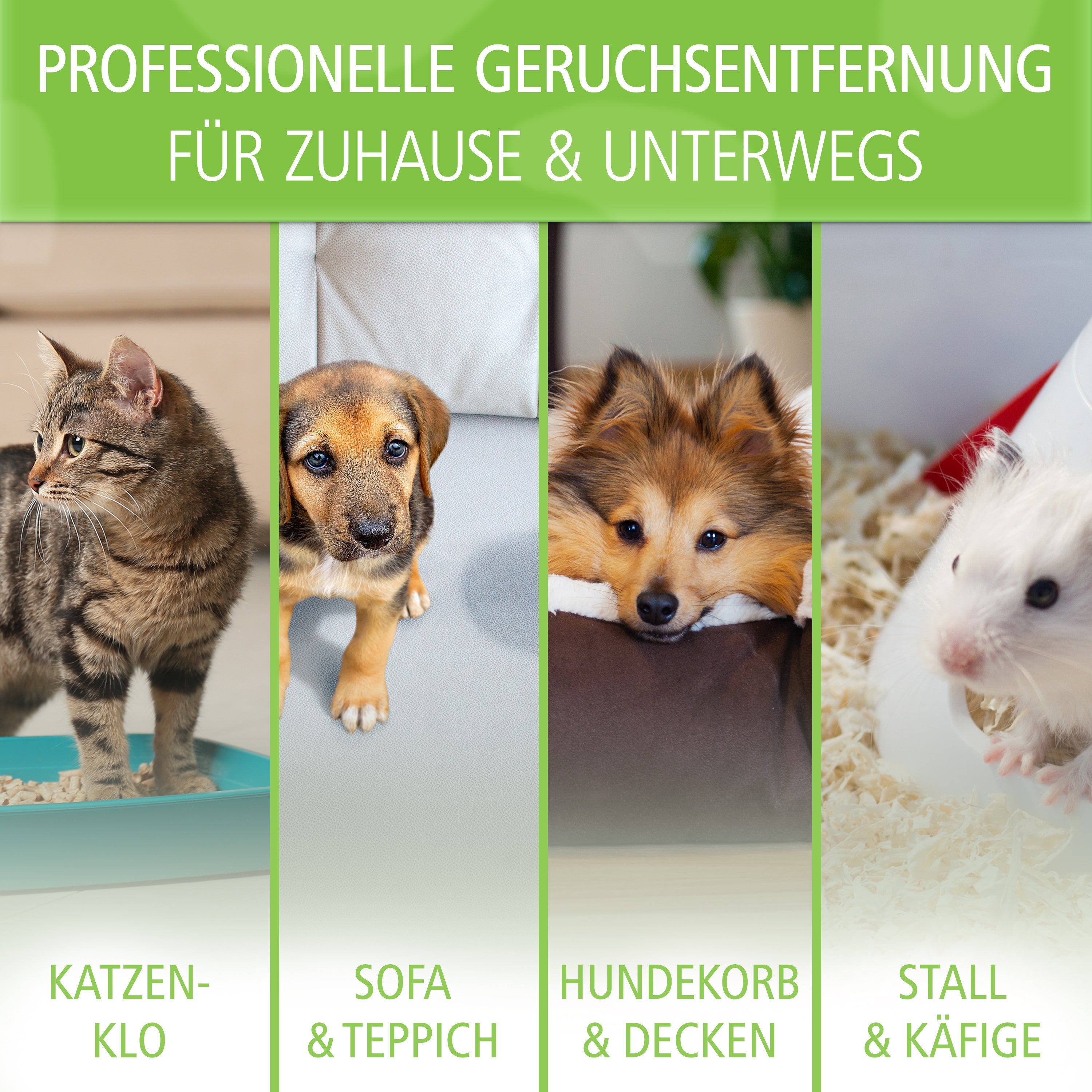 viopura Tiergeruchsentferner EXTRA STARK, 1 Liter Konzentrat für Haustiere und Zuhause – Detailansicht 2