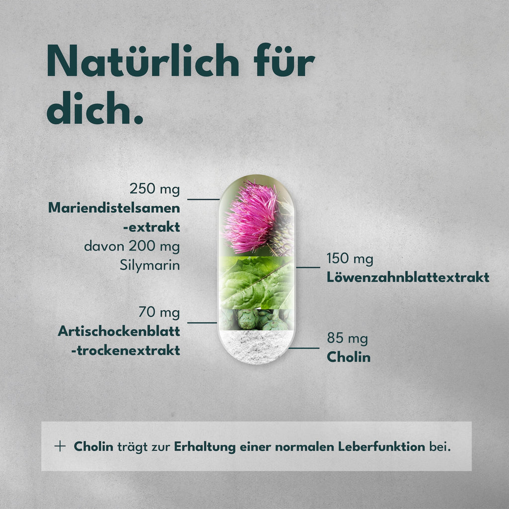 VITAL, Löwenzahn und Cholin. 120 Kapseln (4 Monate) für eine gesunde Leber und Alltag – Detailansicht 3