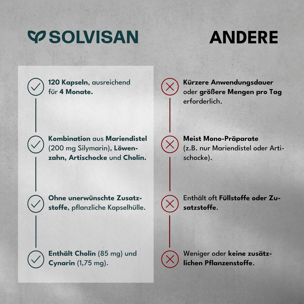 VITAL, Löwenzahn und Cholin. 120 Kapseln (4 Monate) für eine gesunde Leber und Alltag – Detailansicht 4