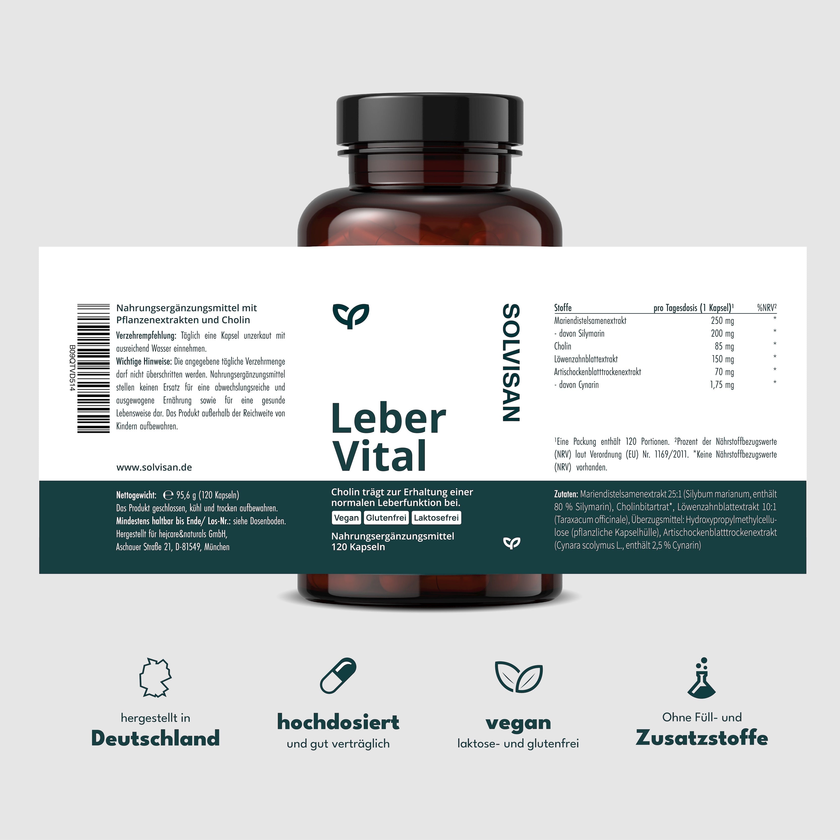 VITAL, Löwenzahn und Cholin. 120 Kapseln (4 Monate) für eine gesunde Leber und Alltag – Detailansicht 6