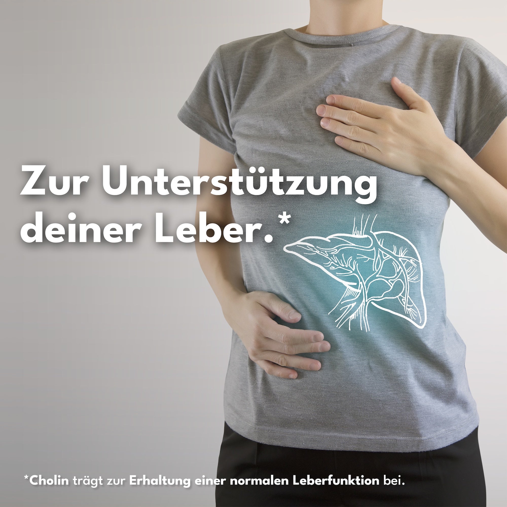 VITAL, Löwenzahn und Cholin. 120 Kapseln (4 Monate) für eine gesunde Leber und Alltag – Detailansicht 8