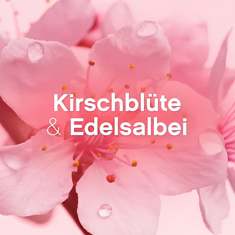 Weichspüler, 3 Flaschen für Alltag und Zuhause – Detailansicht 3