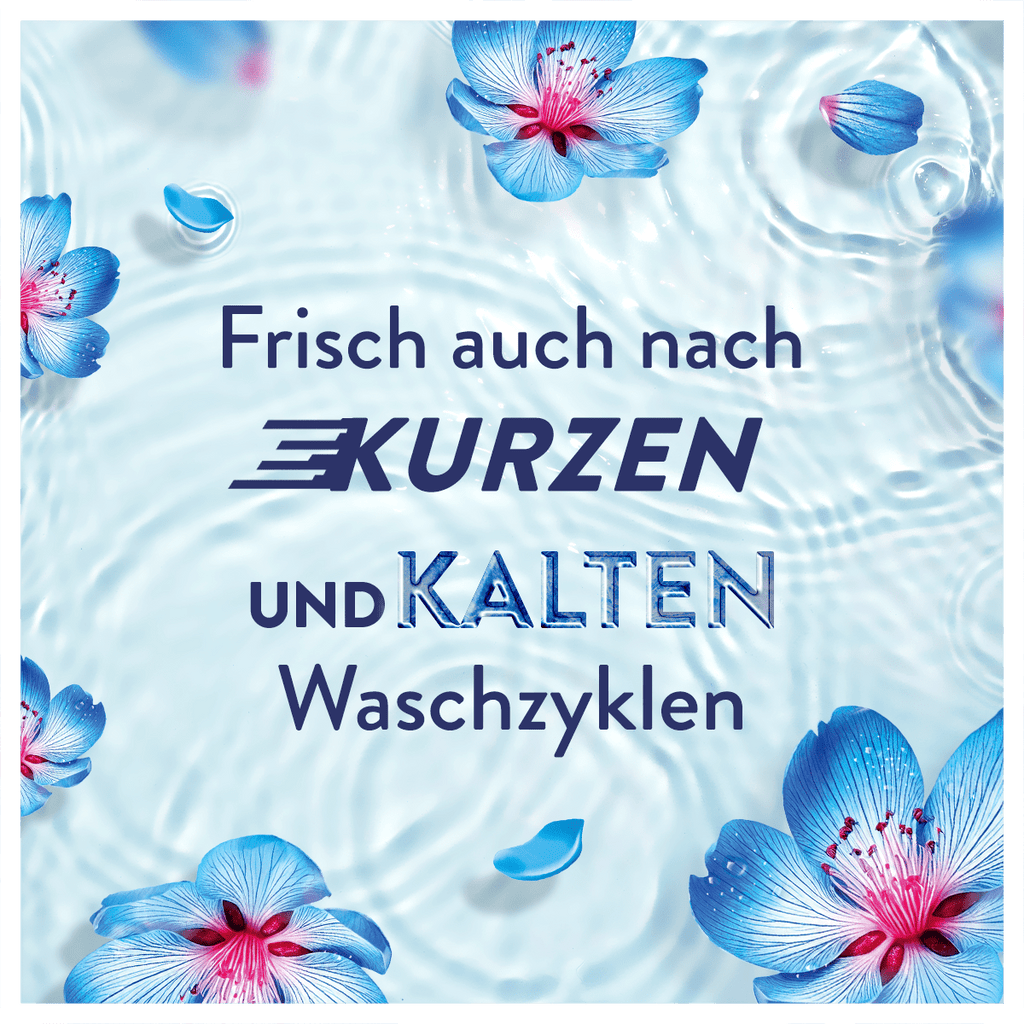 Weichspüler, 990ml für Alltag und Zuhause – Detailansicht 12