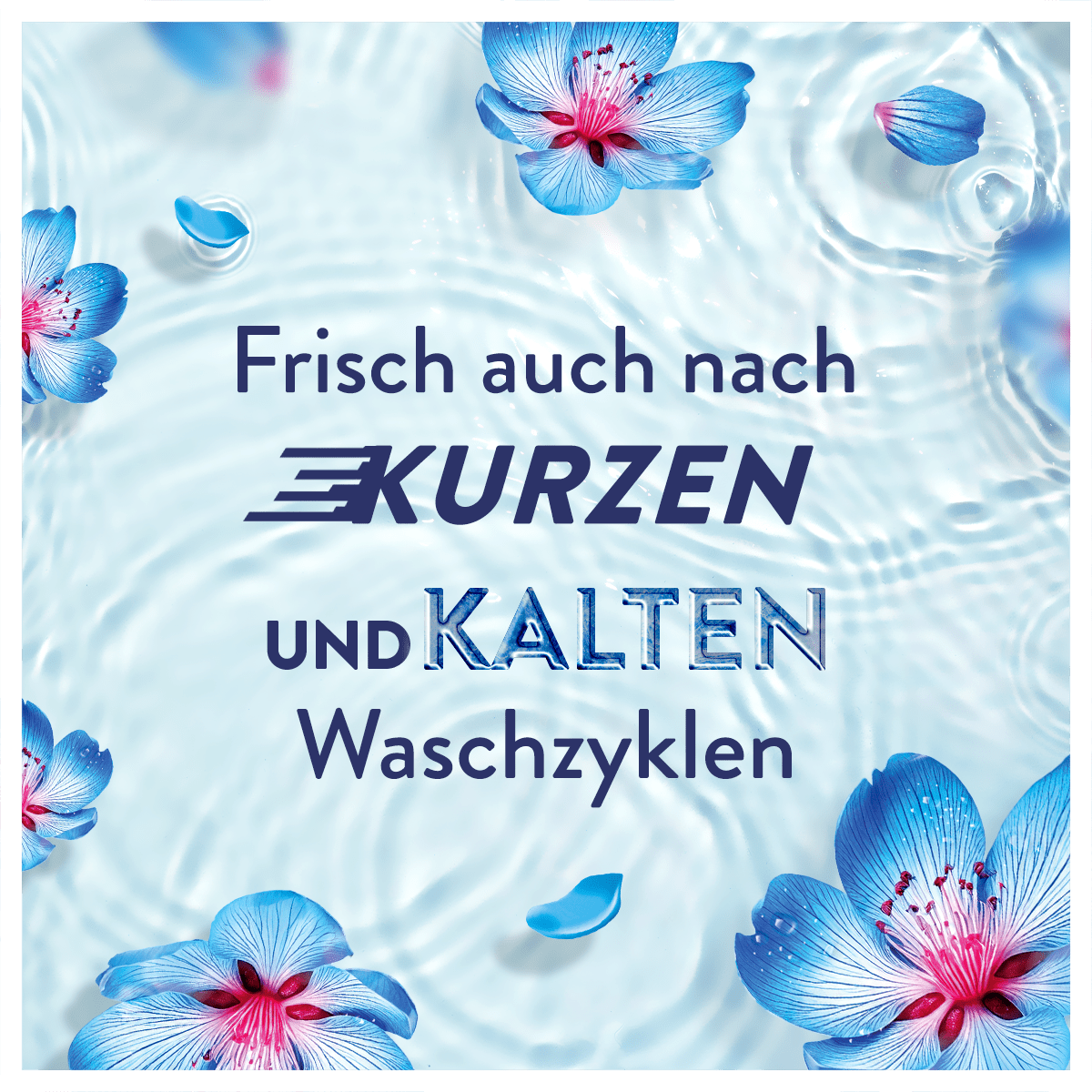 Weichspüler, 990ml für Alltag und Zuhause – Detailansicht 12