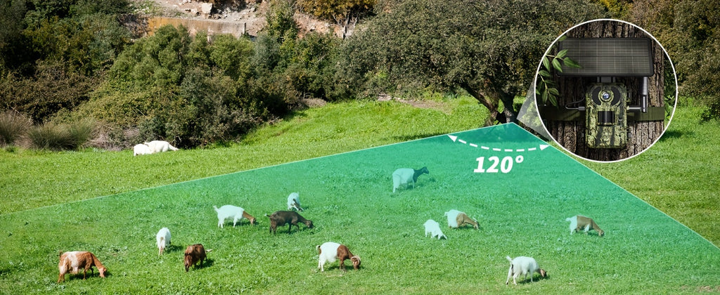 Wildkamera, 2er-Pack für unterwegs und Zuhause – Detailansicht 19