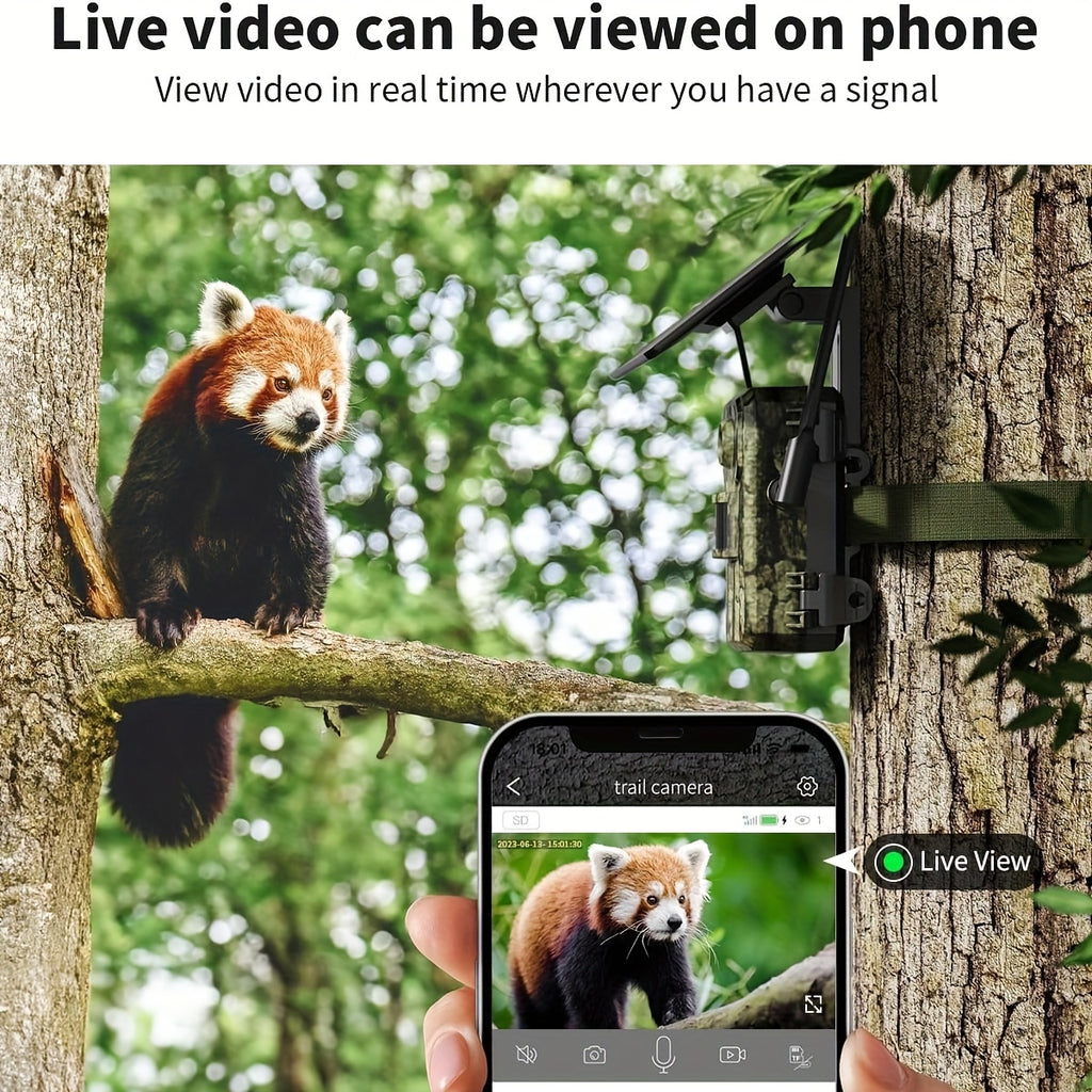 Wildkamera, 3G für Zuhause und unterwegs – Hauptansicht