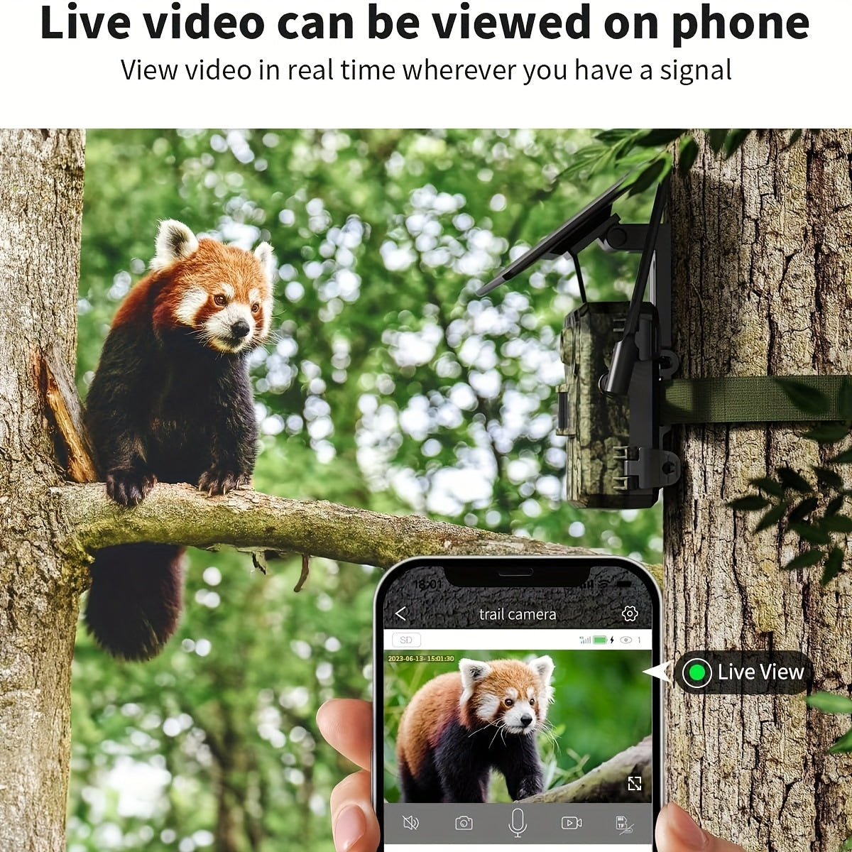 Wildkamera, 3G für Zuhause und unterwegs – Hauptansicht