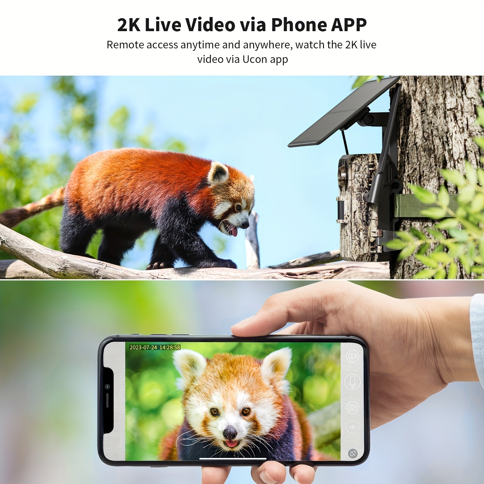 Wildkamera, 4G für unterwegs – Detailansicht 6