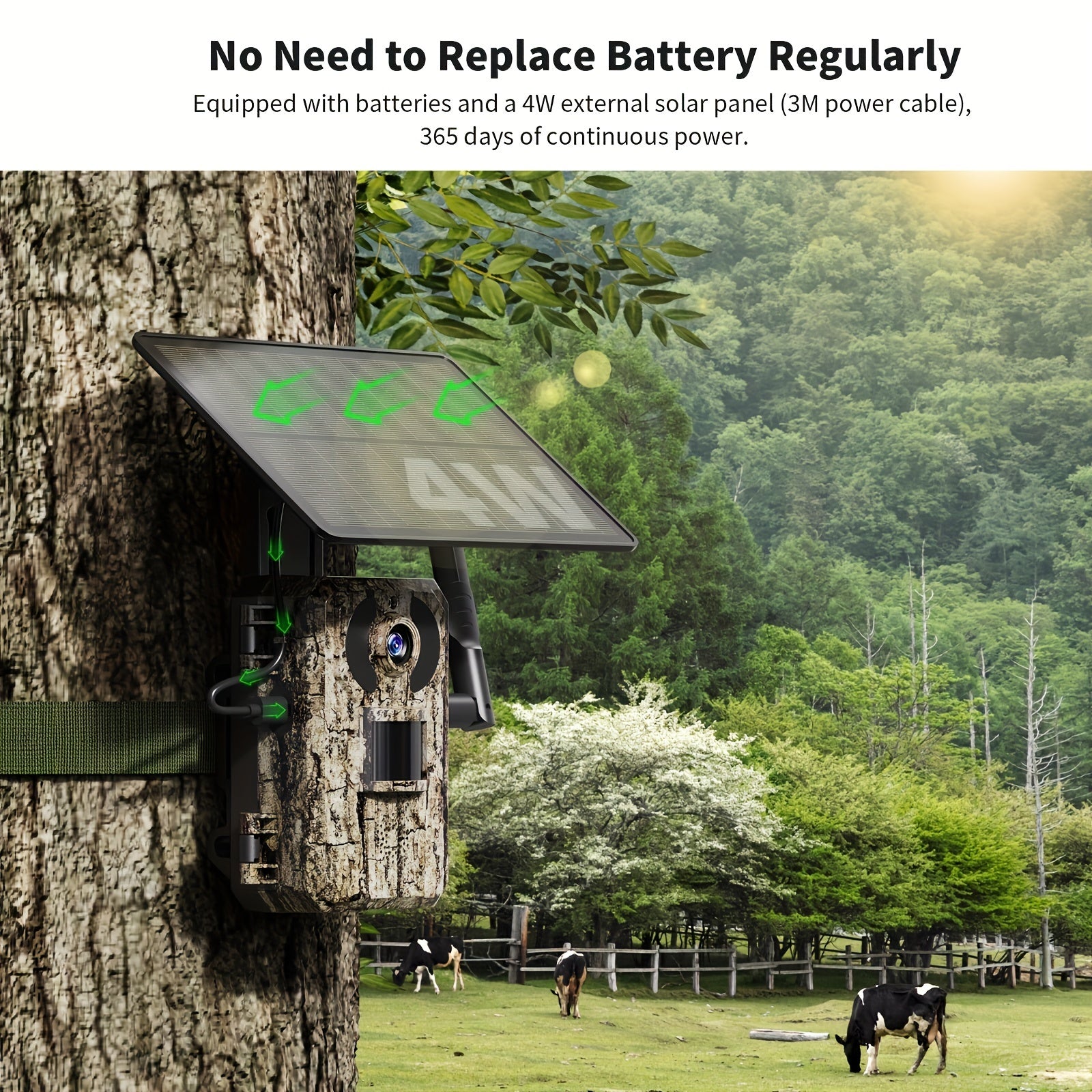 Wildkamera, 4G für unterwegs – Detailansicht 8