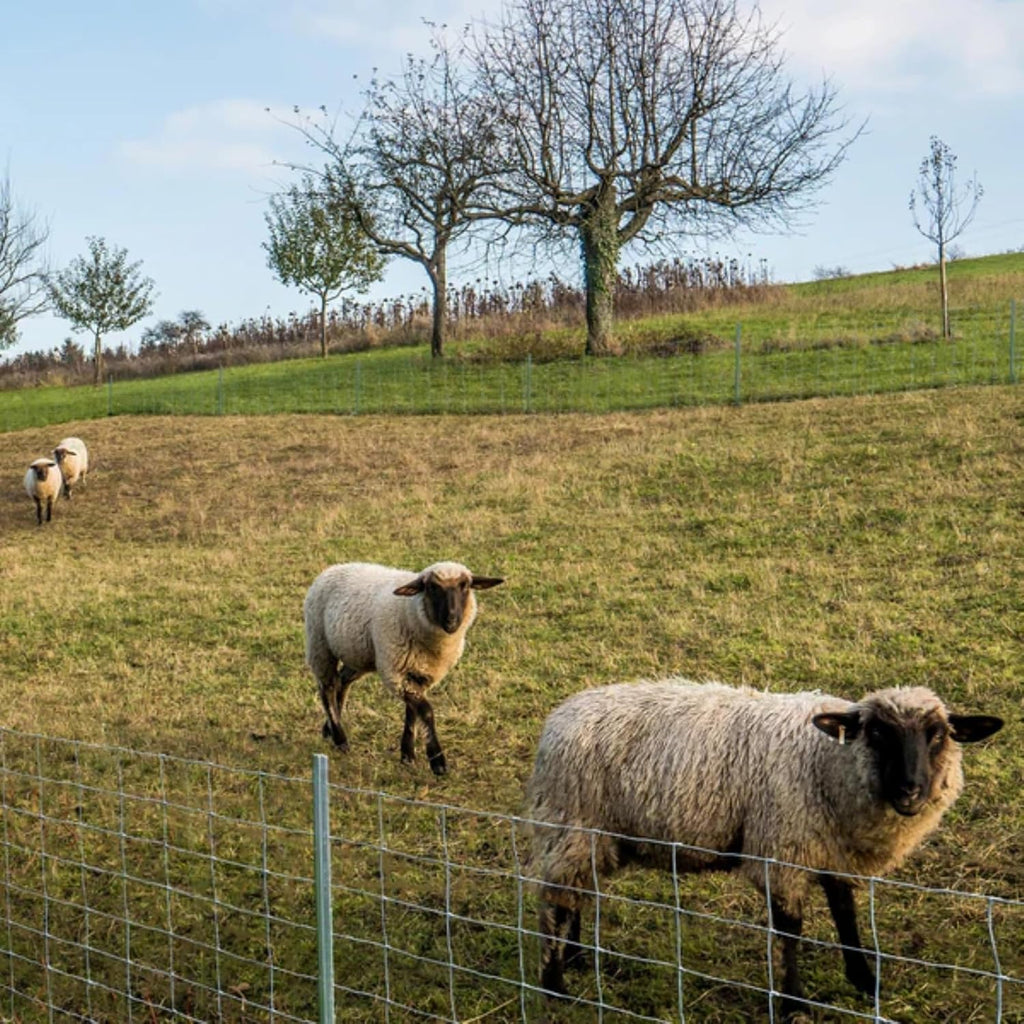Wildzaun - Verzinkt in Fachhandel-Qualität, 15 cm für Alltag und Zuhause – Detailansicht 8
